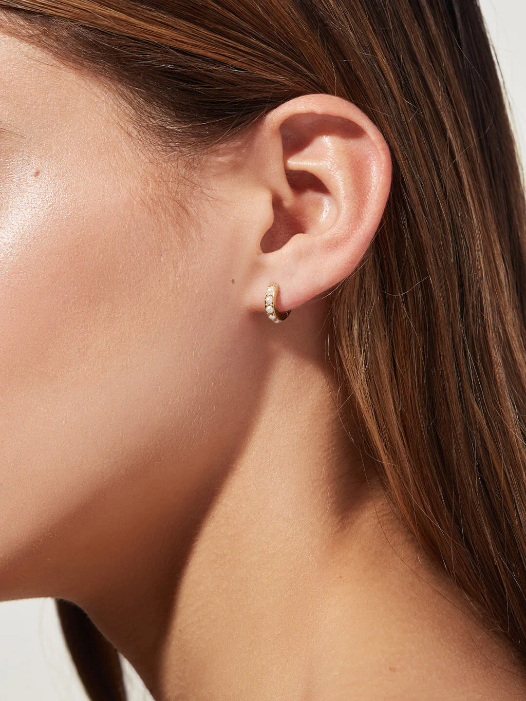 Solid Gold & Diamond Hoop Earrings (6E5B9A)
