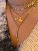 Natural Diamond Horseshoe Necklace